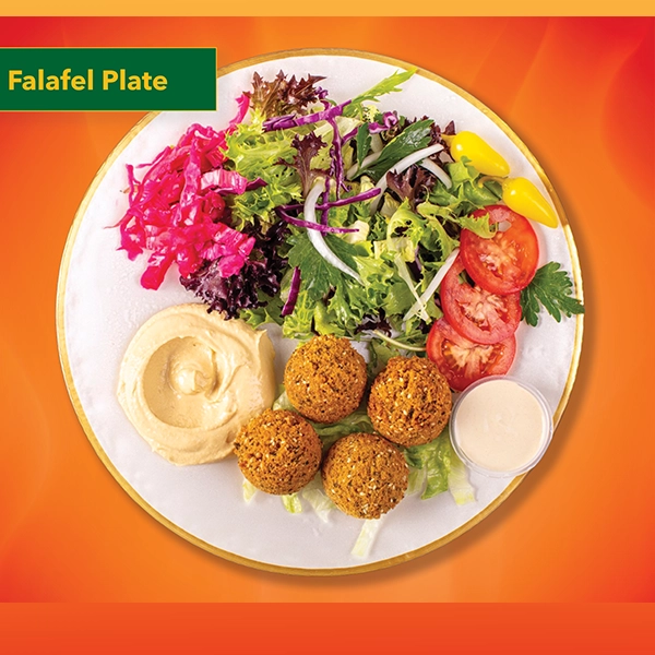 Laguna Falafel